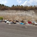 Turismo e strade extraurbane: rifiuti e miasmi deturpano il paesaggio. L'Andria Canosa ridotta ad una discarica continua