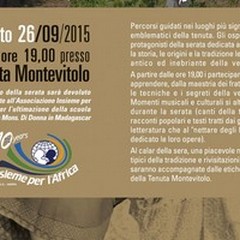 Evento diVino - Il rito della vendemmia