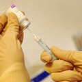 Piano Vaccini anti Covid, Lopalco: “Dal 22 febbraio l’avvio delle vaccinazioni degli ultra 80enni”