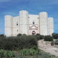 L'alba del Solstizio d'estate ai piedi di Castel del Monte