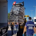 Sequestrate oltre 20 t. di cozze nere, pronte per invadere i mercati pugliesi