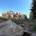 Domenica alternativa ad Andria, gli ambientalisti al bosco urbano