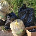 3place: cleanup in azione nel parco “Graziella Mansi”