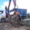 Rifiuti Ciappetta-Camaggio: stamane avviate operazioni di ripulitura