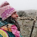 Una “pastora” tra le campagne del Parco Nazionale dell’Alta Murgia