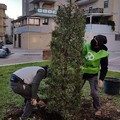 L'associazione 3Place dona l'albero  "Samuele " al centro San Michele di Andria