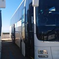Novità alla VI edizione "Camminata tra gli Olivi ", bus navetta per raggiungere la manifestazione