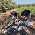 La storia di due  "pollicini " verdi e della loro mamma-zia, dal raccogliere verdure ripuliscono la campagna