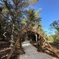 Rubati cavi elettrici nella pineta di Castel del Monte, danno da 30mila euro