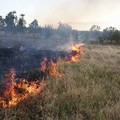 Incendio domato dai Federiciani in contrada Femmina Morta