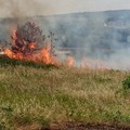Incendi, M5S:  "La Regione si assuma le responsabilità "
