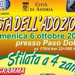 Una sfilata a 4 zampe: domenica 6 ottobre