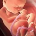 Festa della mamma, o festa della maternità?