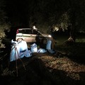 Conclusa la campagna olivicola: le Guardie Campestri di Andria tracciano un bilancio