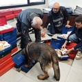 Primo bilancio delle Fiamme Gialle nella lotta alla contraffazione e tutela del Made in Italy