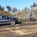 Antincendio boschivo: anche ad Andria i Carabinieri forestali effettuano controlli sulle aree protette