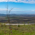 Nucleare, Slow Food Murge: “Non resteremo indifferenti. La Murgia non si tocca”