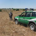 Rifiuti pericolosi verso l'Africa: arresti tra Andria e Ruvo di Puglia