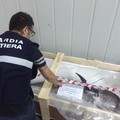 Attenti al pescato non  "made in Italy ": impossibile procedere al controllo dell'origine