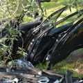 Riciclaggio e scasso: due gli arresti della Polizia di Stato