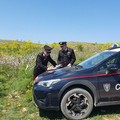 I Carabinieri forestali pronti per la campagna contro gli incendi boschivi per la stagione 2024 in Puglia