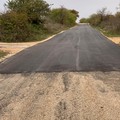 Sicurezza nelle campagne: presto in campo la sorveglianza aerea delle zone rurali