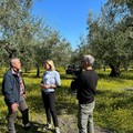 L'ARCA DI NOE' Canale 5 ad Andria per "QOCO Un filo d'Olio nel Piatto "