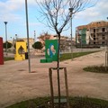 Due nuovi alberi al  "Parco rosa "