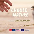 La Lipu cerca volontari con il progetto europeo “Choose Nature”