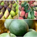 Caldo e mare: ecco la top ten dei cibi che abbronzano