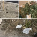 Tra rifiuti e deiezioni canine, ecco come appaiono i giardinetti di piazza Bersaglieri