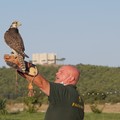  "Buon Compleanno, Federico! ": tra Castel del Monte ed Andria