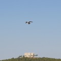 La natura offre la sua bellezza, seminario del Lions  "Castel del Monte "