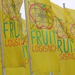 «Fruit Logistica 2013»: ieri il debutto dei 4 GAL pugliesi a Berlino