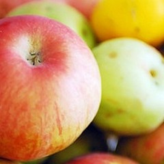 Miscioscia: «Eleviamo la percentuale di frutta nei succhi»