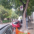 Ad Andria i furbetti della sosta a...  "sbafo "