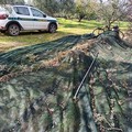 Sventati ben tre furti di olive dalle Guardie Campestri di Andria nel fine settimana