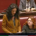 L'on. Galizia interroga il Ministro su pannolini monouso potenzialmente pericolosi. Il VIDEO