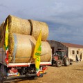 Incendi: gara di solidarietà per un giovane allevatore. Donato foraggio da aziende agricole e zootecniche