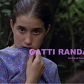  "Gatti Randagi " il mediometraggio di Florinda Frisardi presentato all'Officina San Domenico ad Andria