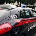 Rubano olive e danneggiano alberi, due arresti dei Carabinieri