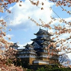 Un viaggio sensoriale e visivo nel cuore del Giappone