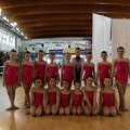 Campionati ginnastica ritmica: ottimi piazzamenti per la Gym Education ASD