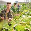 Aiuti all’avviamento di imprese per i giovani agricoltori