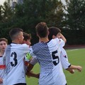 Nuova Andria Calcio: vincono i Giovanissimi, sconfitte per Allievi e Juniores