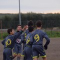 Nuova Andria Calcio: vincono Juniores e Giovanissimi, pari degli Allievi