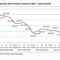 Report Andria e BAT: crolla il numero di aziende nel «primario»