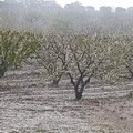 Ancora allerta meteo in questa  "maledetta primavera " 2023: pericolo da temporali, grandine e gelate