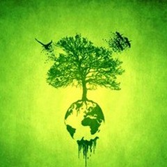 Ultimo appuntamento di Green Life con tema  "l'energia "