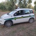 Auto rubata in campagna, questa volta il ritrovamento è delle Guardie Campestri di Andria